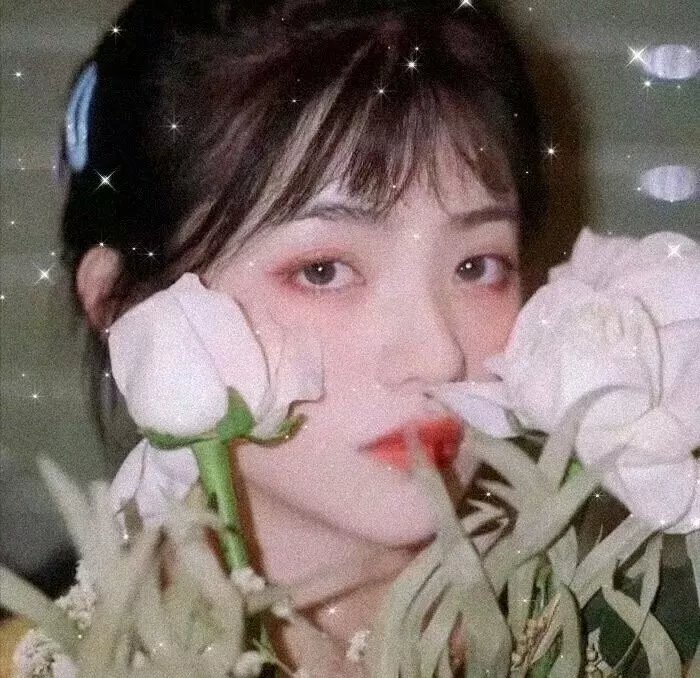 晴雅集